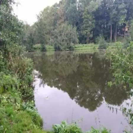 In Mit Garten Bad Doberan