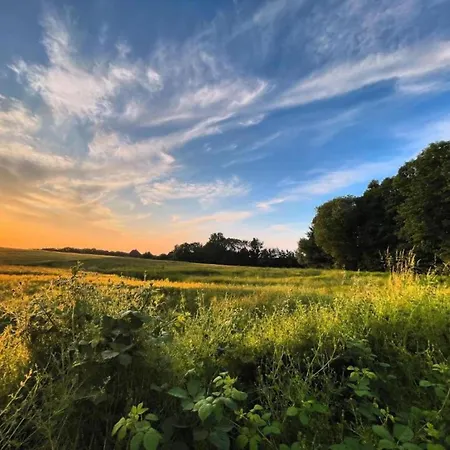 Appartement In Mit Garten