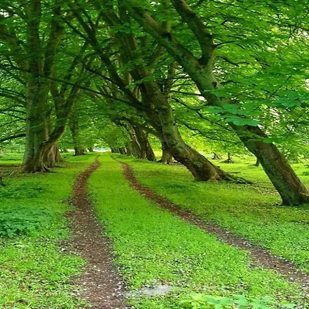 Διαμέρισμα In Mit Garten *